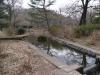 三宝寺池の写真のサムネイル写真2