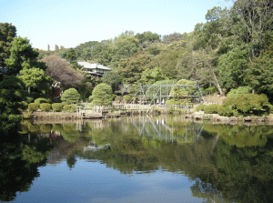 新江戸川公園の写真