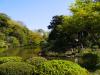 新江戸川公園の写真のサムネイル写真2