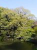 新江戸川公園の写真のサムネイル写真6