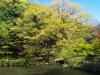 新江戸川公園の写真のサムネイル写真7