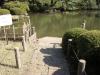 新江戸川公園の写真のサムネイル写真19
