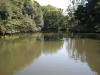 新江戸川公園の写真のサムネイル写真20