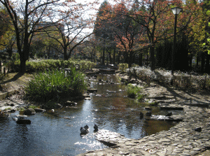 しょうぶ沼公園の写真