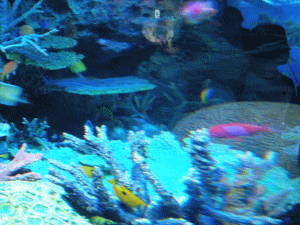 サンシャイン国際水族館の写真