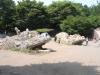 国営昭和記念公園の写真のサムネイル写真35