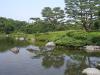 国営昭和記念公園の写真のサムネイル写真37