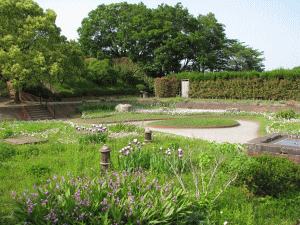 多摩川台公園の写真