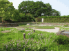 多摩川台公園の写真のサムネイル写真1