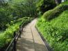 多摩川台公園の写真のサムネイル写真2