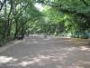 多摩川台公園の写真のサムネイル写真3