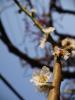 戸山公園（箱根山地区）の写真のサムネイル写真22