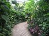 夢の島 熱帯植物館の写真のサムネイル写真3