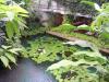 夢の島 熱帯植物館の写真のサムネイル写真4