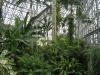 夢の島 熱帯植物館の写真のサムネイル写真5