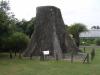 夢の島 熱帯植物館の写真のサムネイル写真10