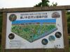 墓ノ木自然公園の写真のサムネイル写真6