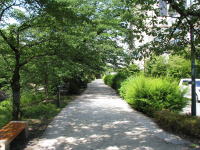 松川べり彫刻公園の遊歩道