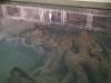 魚津埋没林博物館の写真のサムネイル写真3