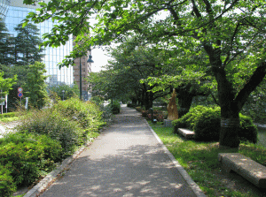 松川べり彫刻公園の写真