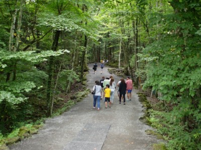 富岳風穴の写真14