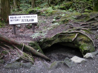 富岳風穴の写真13