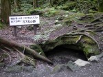 富岳風穴の写真のサムネイル写真13