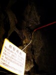 富岳風穴の写真のサムネイル写真11