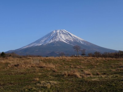 富士ケ嶺公園の写真2