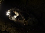 鳴沢氷穴の写真のサムネイル写真1
