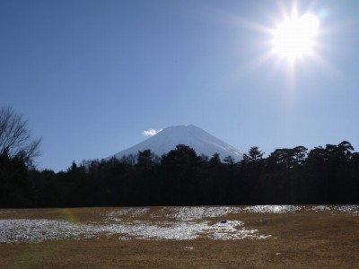 富士パインズパークの写真