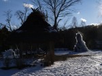 西湖 野鳥の森公園の写真のサムネイル写真8