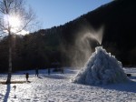 西湖 野鳥の森公園の写真のサムネイル写真4