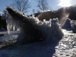 西湖 野鳥の森公園の写真のサムネイル写真5