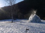 西湖 野鳥の森公園の写真のサムネイル写真9