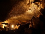 西湖 コウモリ穴の写真のサムネイル写真14