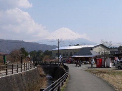 西湖 いやしの里・根場の写真