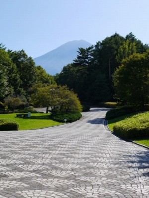 富士北麓公園の写真8