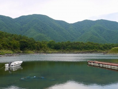 精進湖の写真13