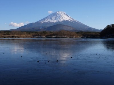 精進湖の写真3