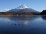 精進湖の写真のサムネイル写真3