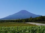 花の都公園の写真のサムネイル写真8