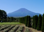 花の都公園の写真のサムネイル写真11