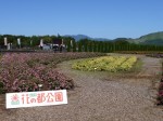 花の都公園の写真のサムネイル写真22