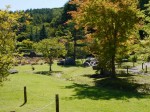 花の都公園の写真のサムネイル写真43