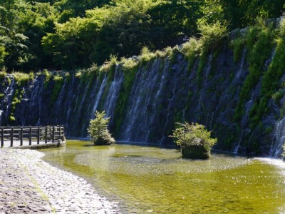 花の都公園の写真34