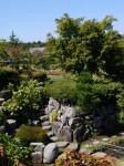 花の都公園の写真のサムネイル写真37