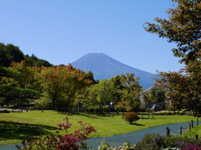 花の都公園の写真19