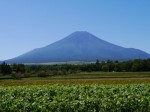 花の都公園の写真のサムネイル写真10