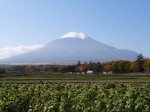 花の都公園の写真のサムネイル写真6